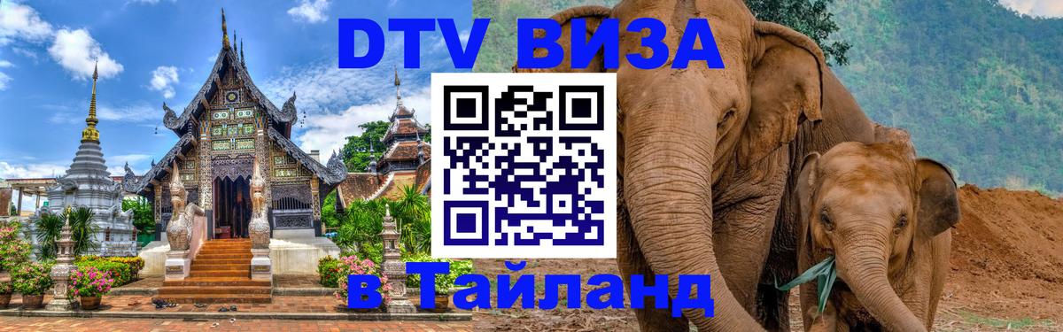 Сколько стоит DTV виза — актуальные цены, оформление даже без документов - Якутск 